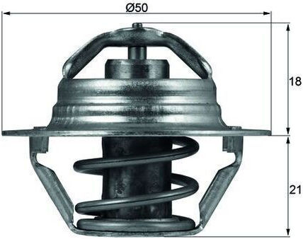 Thermostat Cooling Liquid Mahle Tx 100 89d