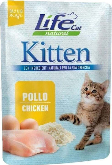 Wet Food for Cats with Chicken 70gr