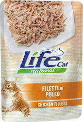 Wet Food 70gr