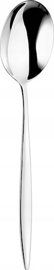 Eternum Stainless Steel Silver Spoons