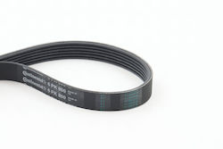 Continental Ctam 6pk800 Ribbed Transmission Belt Continental Ctam 6pk800 Ribbed Transmission Belt
