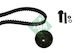Ina Timing Belt Kit 530 0003 10