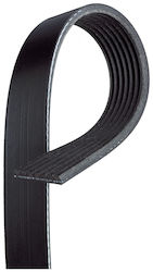 Gates 7pk1600 Ribbed Transmission Belt