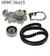 Skf Vkmc 06415 Water Pump Timing Belt Set