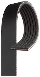 Gates Curea Transmisie Riplată 6pk860 Gates Curea Transmisie Riplată 6pk860
