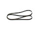Bosch Ribbed Transmission Belt 1 987 947 953