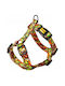 Dingo Guard City Dubai Harness S 2.0 X 24-45cm