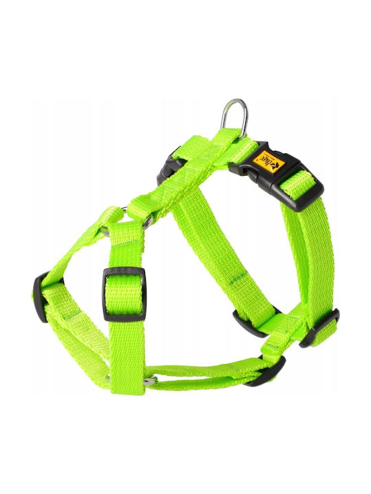 Dingo Dingo Hundegeschirre Energy Guard 2 0/38-70cm Grünes