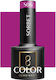 Glossy Purple Nail Polish S06