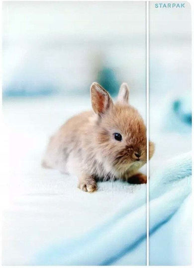 A4 Rabbit Paper Folder Elastic Stk Fol10/100
