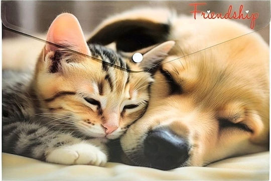 Teka Φάκελος A4 Pp Εκτύπωση Friendship