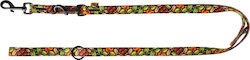Dingo Leash Reg City Dubai 2.0 X 220cm