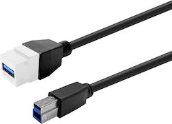 Vivolink Keystone White Usb 3.0 A-female To Usb 3.0 B-male Vivolink Keystone White Usb 3.0 A-female To Usb 3.0 B-male