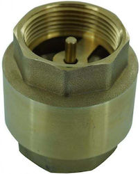 Brass Non-return Valve 1 Inch Pin