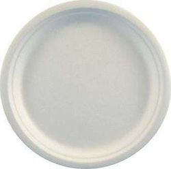Plate for Party 6 Pieces