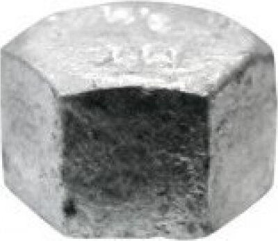 Gepulverte Abdeckkappen 1" Hydroland Łh.zaślepka.25