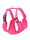 Dingo Dingo Curele Antipresiune Xs 1 5cm/25-35cm Roze