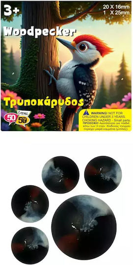 50/50 Games Woodpecker 505901woodpecker 505901woodpecker 726529329001