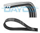 Dayco Ribbed Transmission Belt 3pk856ee