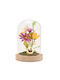 Dekorative Lampe