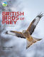Rspb British Birds Of Prey Marianne Taylor Bloomsbury Wildlife