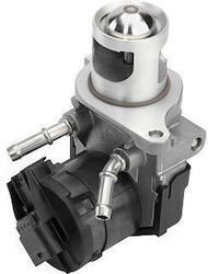 BorgWarner Supapă EGR Motor de mașină