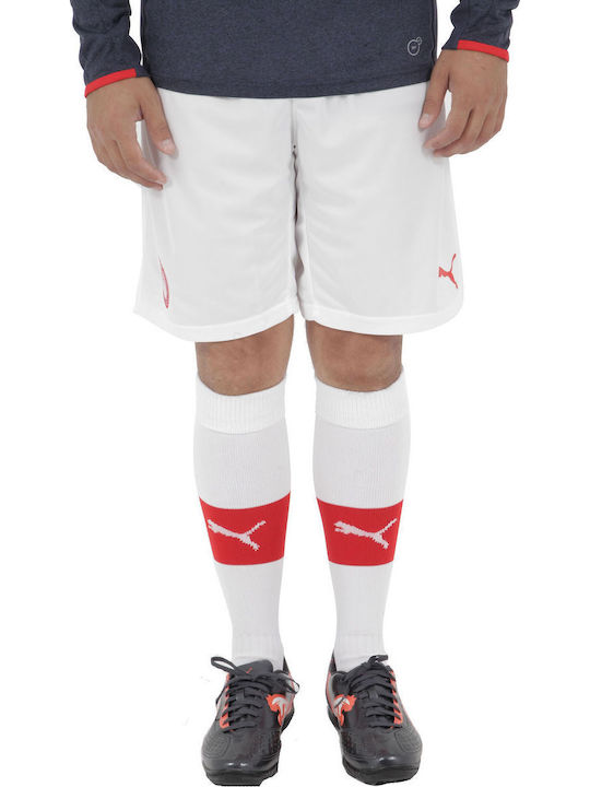 Olympiacos Puma Εντός Έδρας 2013/14 Replica Ανδρικό Σορτς Εμφάνισης Ποδοσφαίρου Olympiacos Puma Εντός Έδρας 2013/14 Replica Ανδρικό Σορτς Εμφάνισης Ποδοσφαίρου