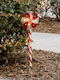 Christmas Decorative Led 18x2x70 F-r Sugar Cane 18x2x70