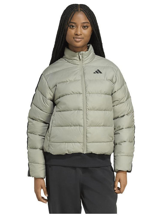 adidas adidas
