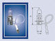 Magneti Marelli Lămpă Auto H3 24V