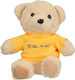 Teddy Plüschbär