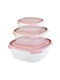 Viosarp Plastic Lunch Box 3pcs