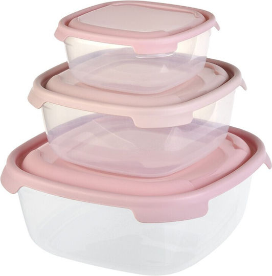 Viosarp Plastic Lunch Box 3pcs