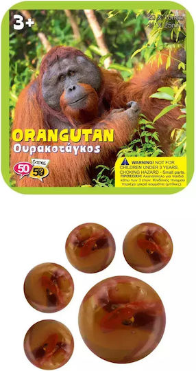 Trela Gazakia Orangutan 505901orangutan 505901orangutan 726529329001