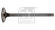 Exhaust Valve Febi Bilstein 17393