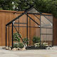 vidaXL 316504 Greenhouse House Type