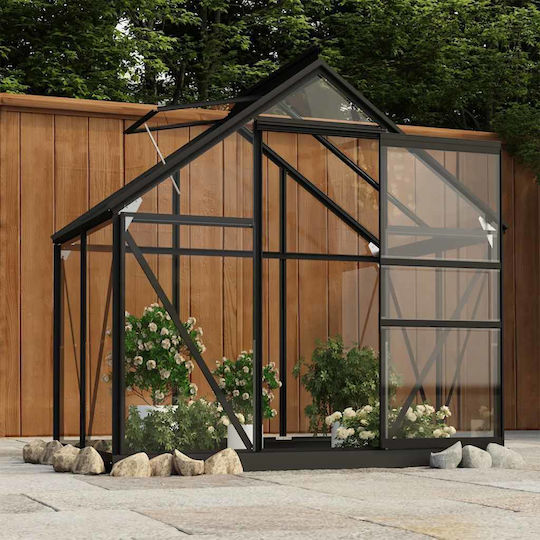 vidaXL 316504 Greenhouse House Type