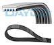 Dayco 5pk1150 Ribbed Transmission Belt