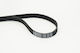 Continental Ctam 6pk1733 Ribbed Transmission Belt