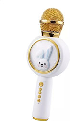 Microfon Karaoke