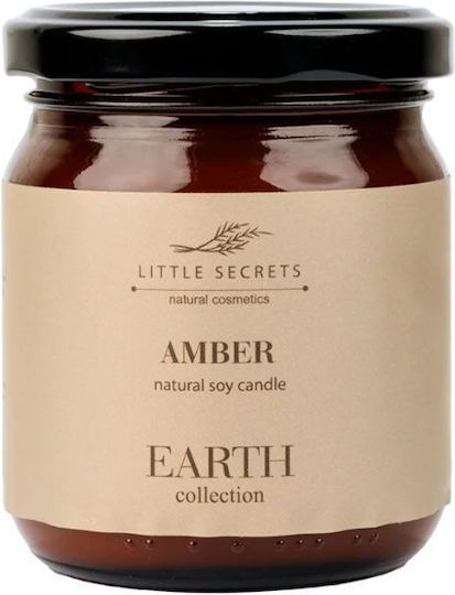 Little Secrets 210ml Αρωματικό Σόγιας σε Βάζο Κανέλα