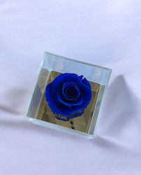 Forever Rose Най-добрият Баща