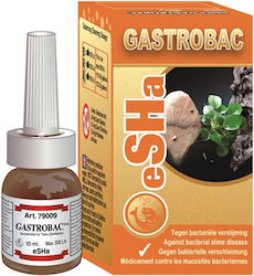 Antiparasitikum Für Aquarium Wasserbehandlungen Esha Gastrobac @ 10 Ml Für 500 L