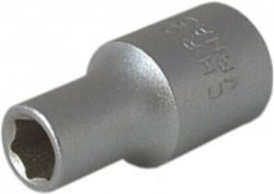 Dedra Nuss Pneumatisch Sechskant mit Vierkant-Antrieb 1/4" Durchmesser 1/4" / 11 1Stück