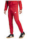Bayern Football Sweatpants with Elastic Red