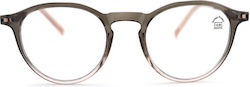 Morel Reading Glasses +2.50 in Brown color READ250-003