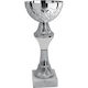 Silver Trophy Sports