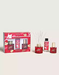 Maison Berger Paris Set Parfum de Cameră cu Aro...