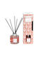 Αρωματικο Χωρου Sticks Red Fruits 100 Ml