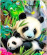 5d Diamond Mosaic Panda 40x30cm